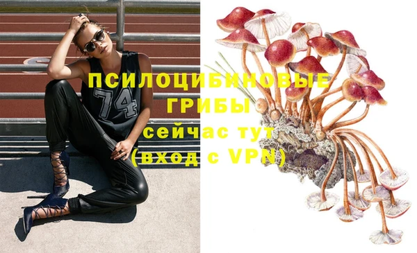 скорость Верея