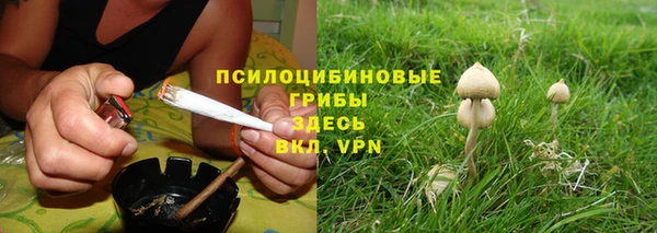 дурь Пестово