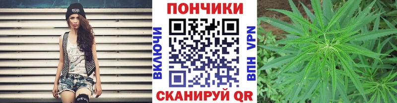 купить наркотики цена  Сыктывкар  kraken зеркало  Марихуана гибрид 